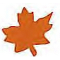 Star & Maple Leaf Confetti (2")